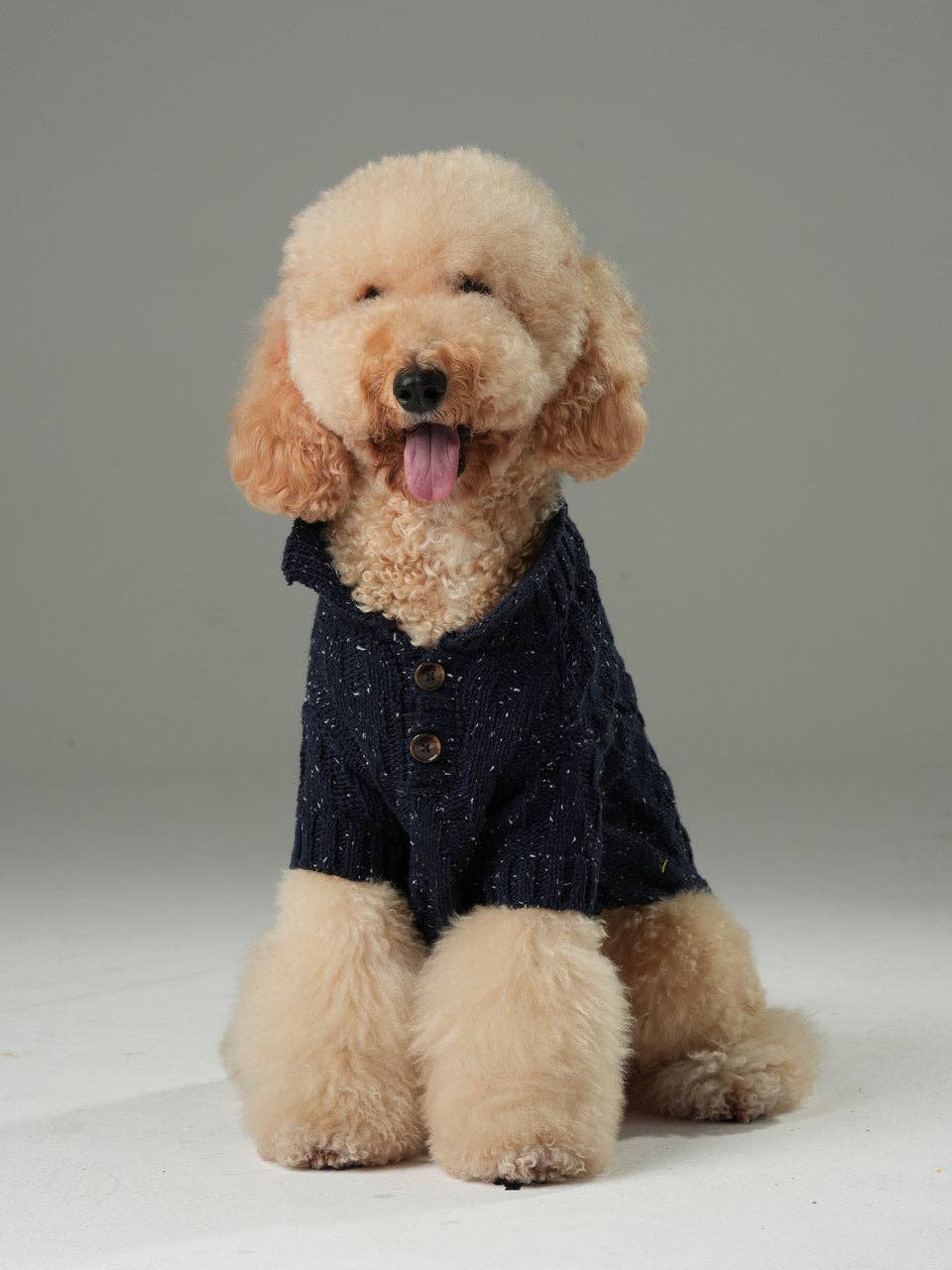GLACIER PET SWEATER - NAVY