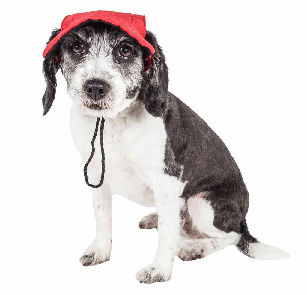 Black Dog Hat