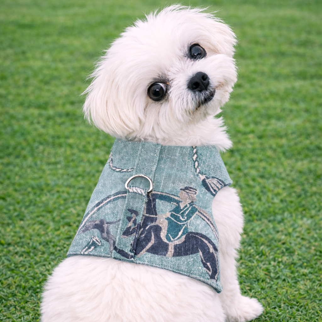 Equestrian Linen Harness