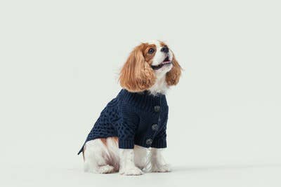 LAPEL CARDIGAN SWEATER