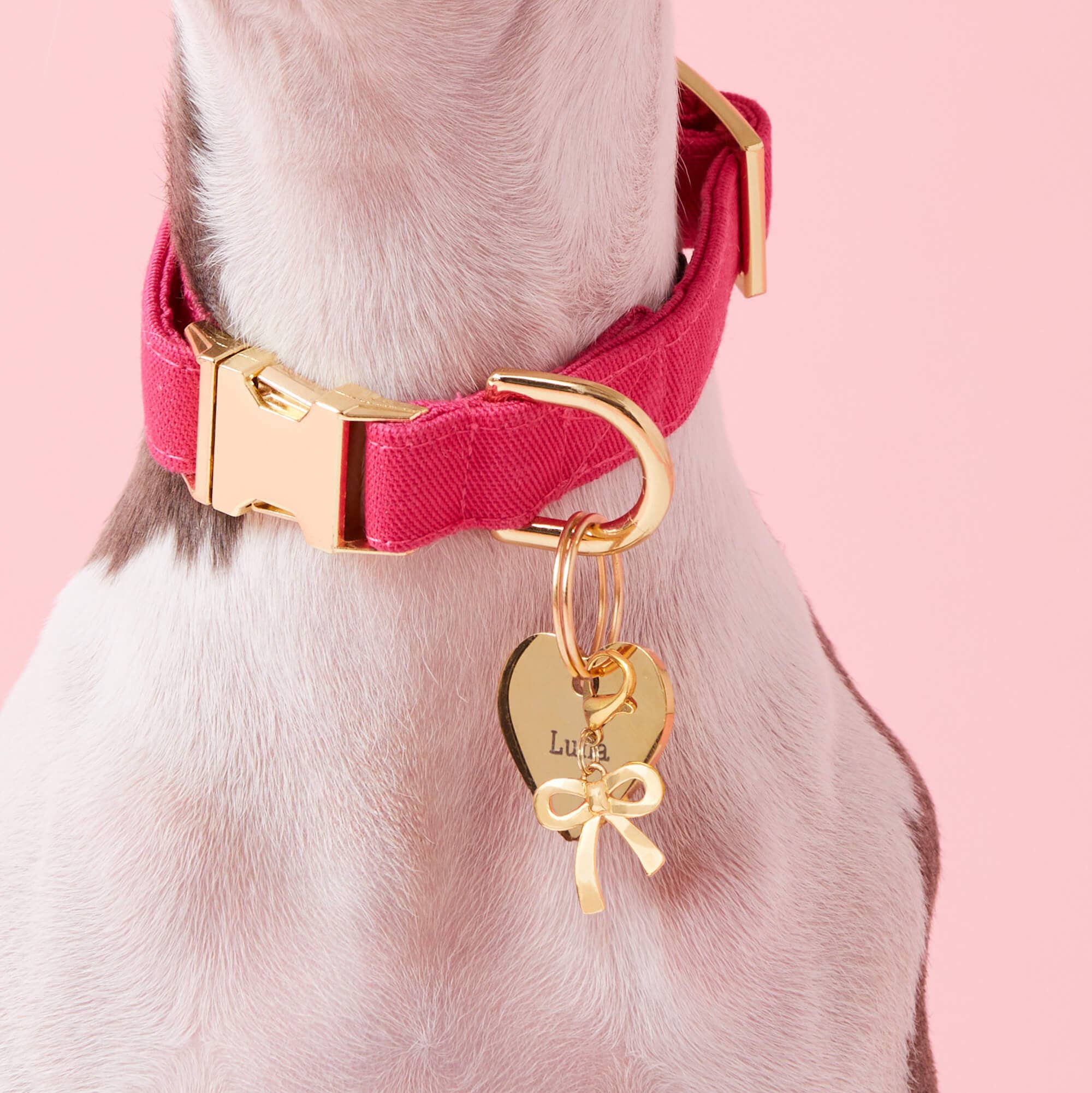 Gold Bow Collar Charm