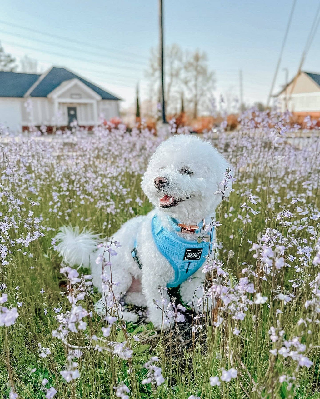 Dog Adjustable Harness - Blumond