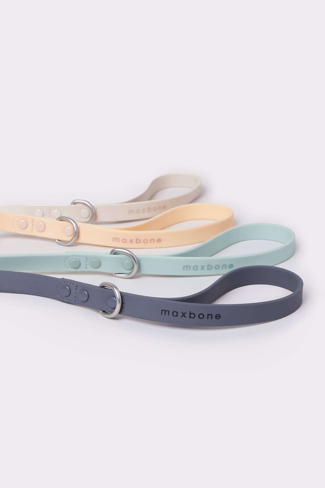 Max Bone Leash