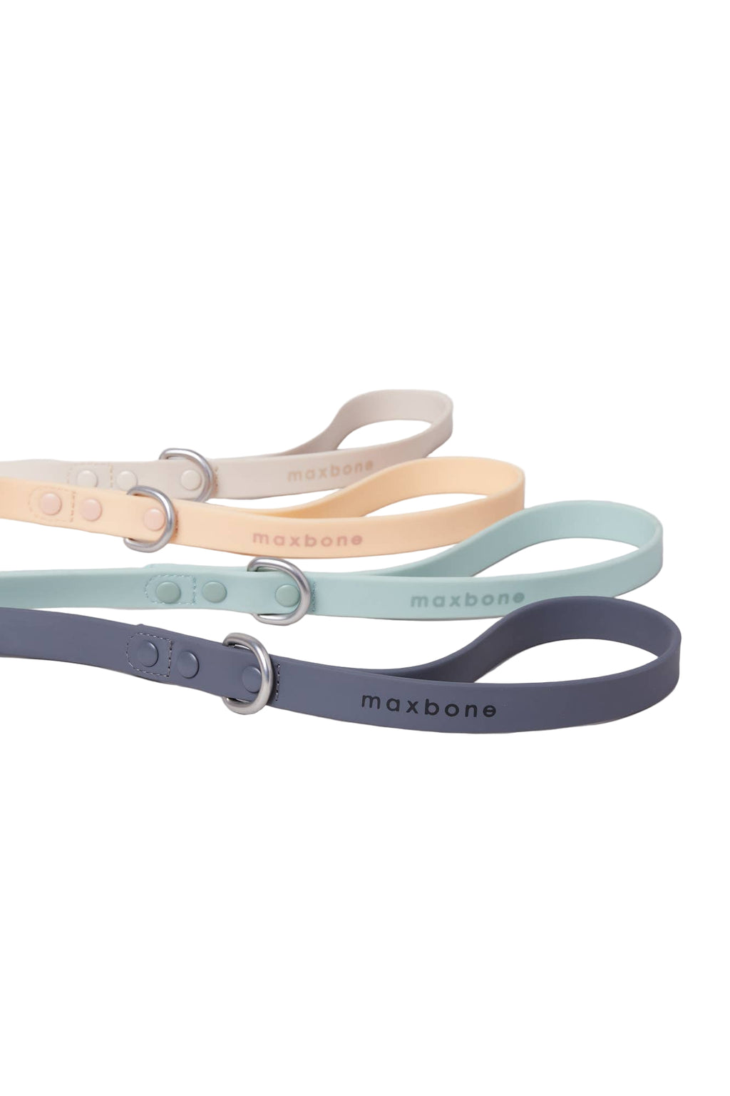 Sand Leash for Dogs