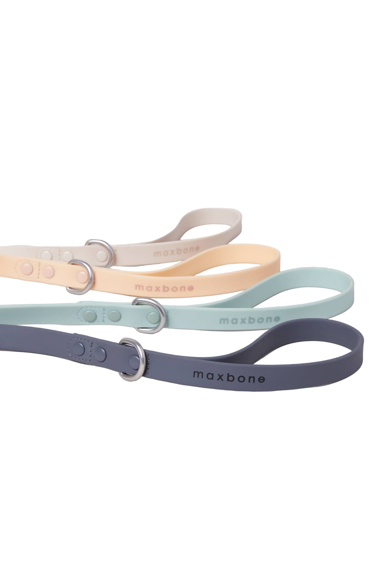 Sand Leash for Dogs