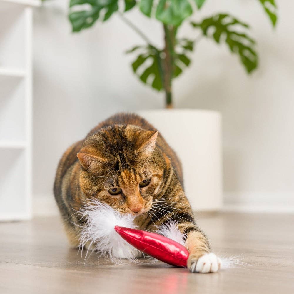 Santa Hat & Sweet Thing Candy 2pk For Cats