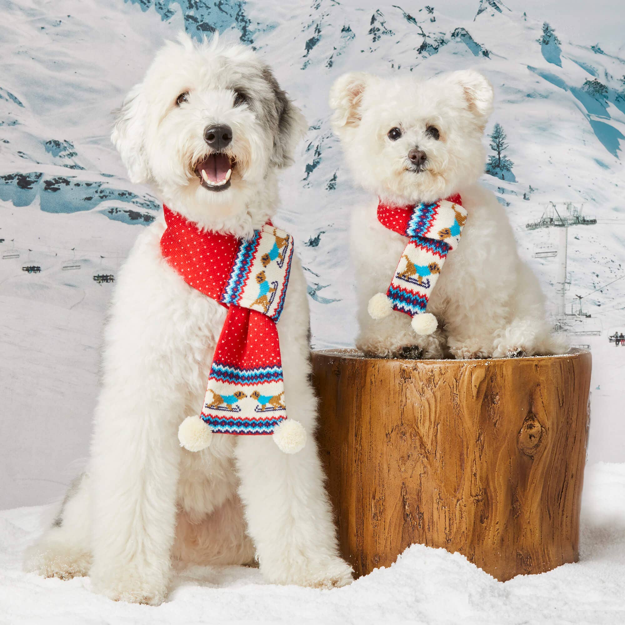 Knit Holiday Dog Scarf Foggy Dog