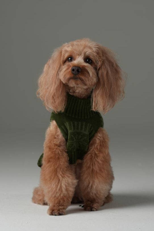 Pretzel Pet Sweater - Olive Green