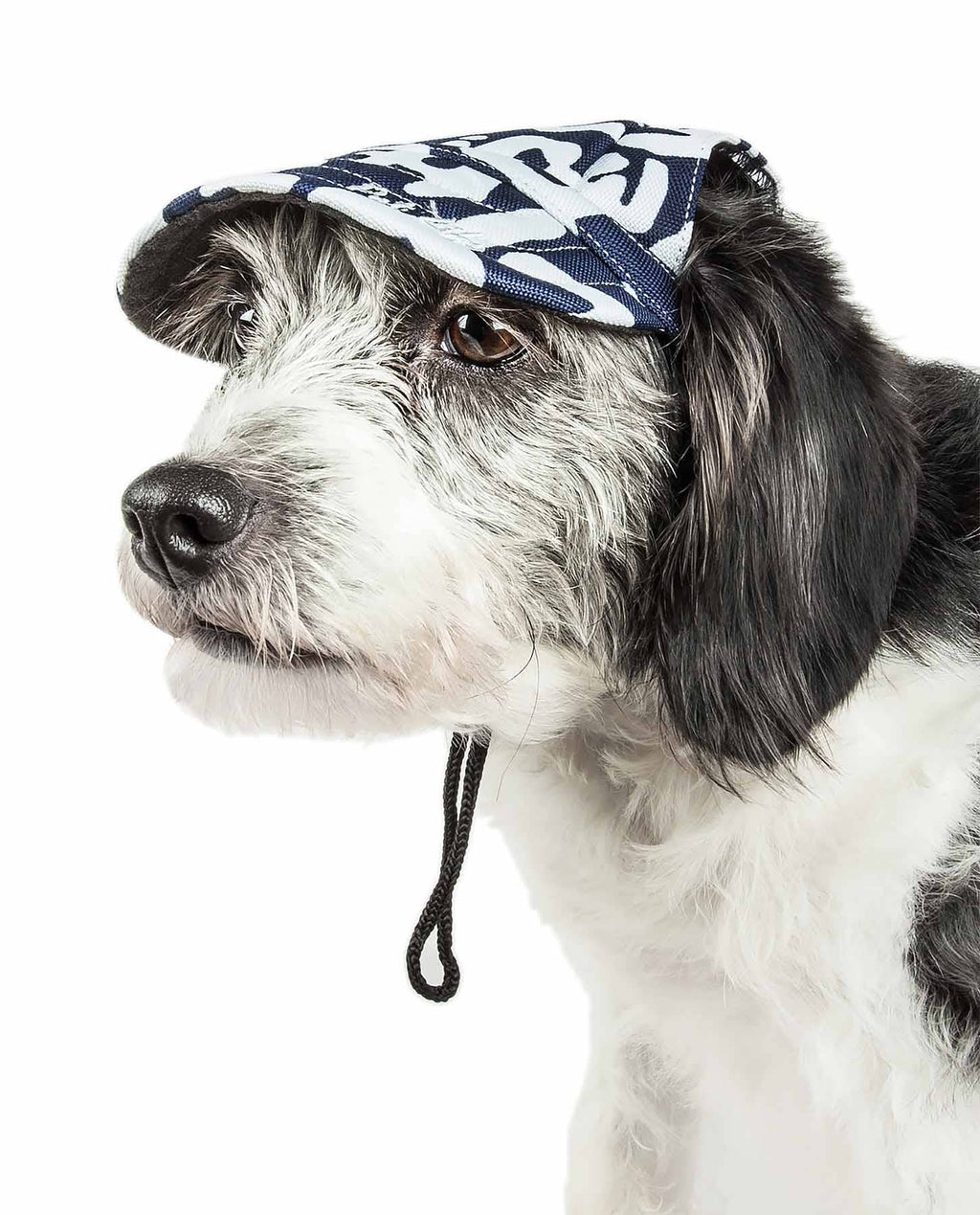 Graffiti Adjustable Fashion Dog Hat