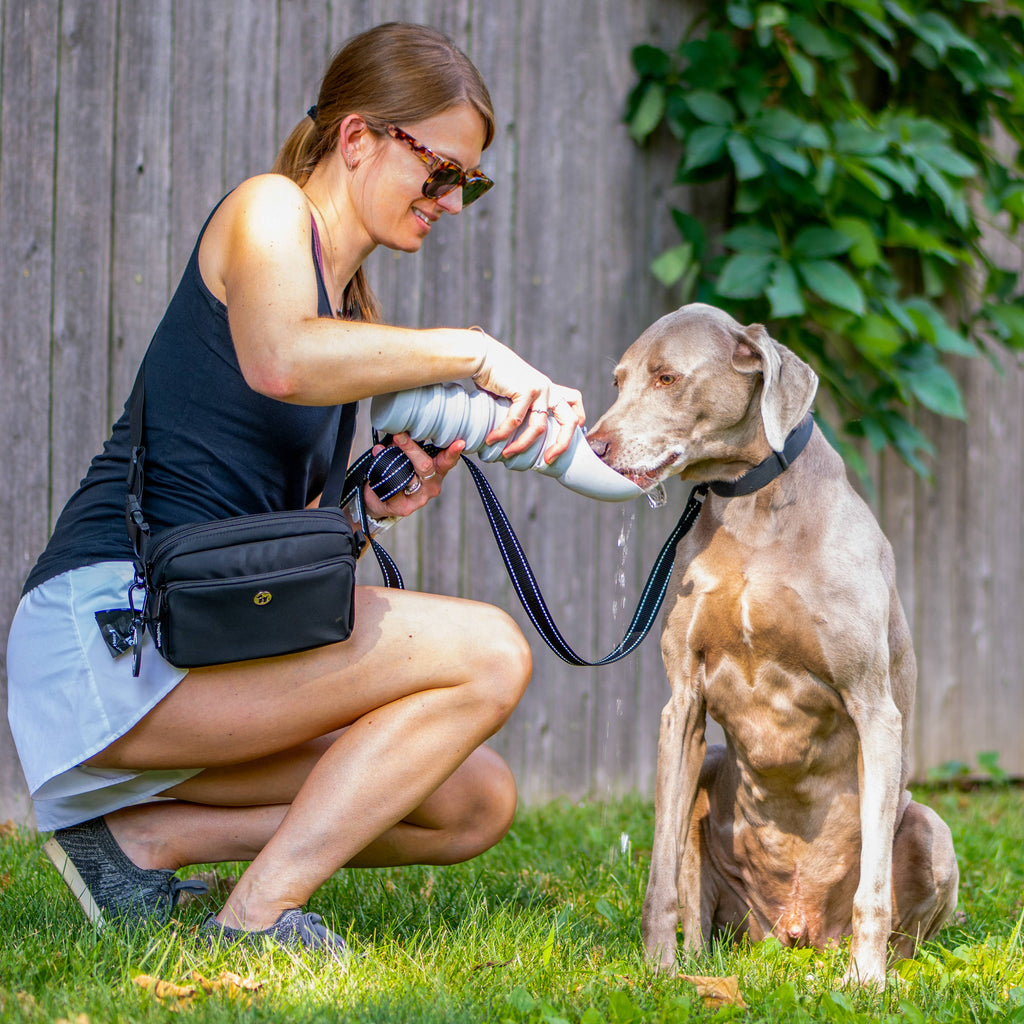 Puppington Collapsible Silicone Dog Water Bottle