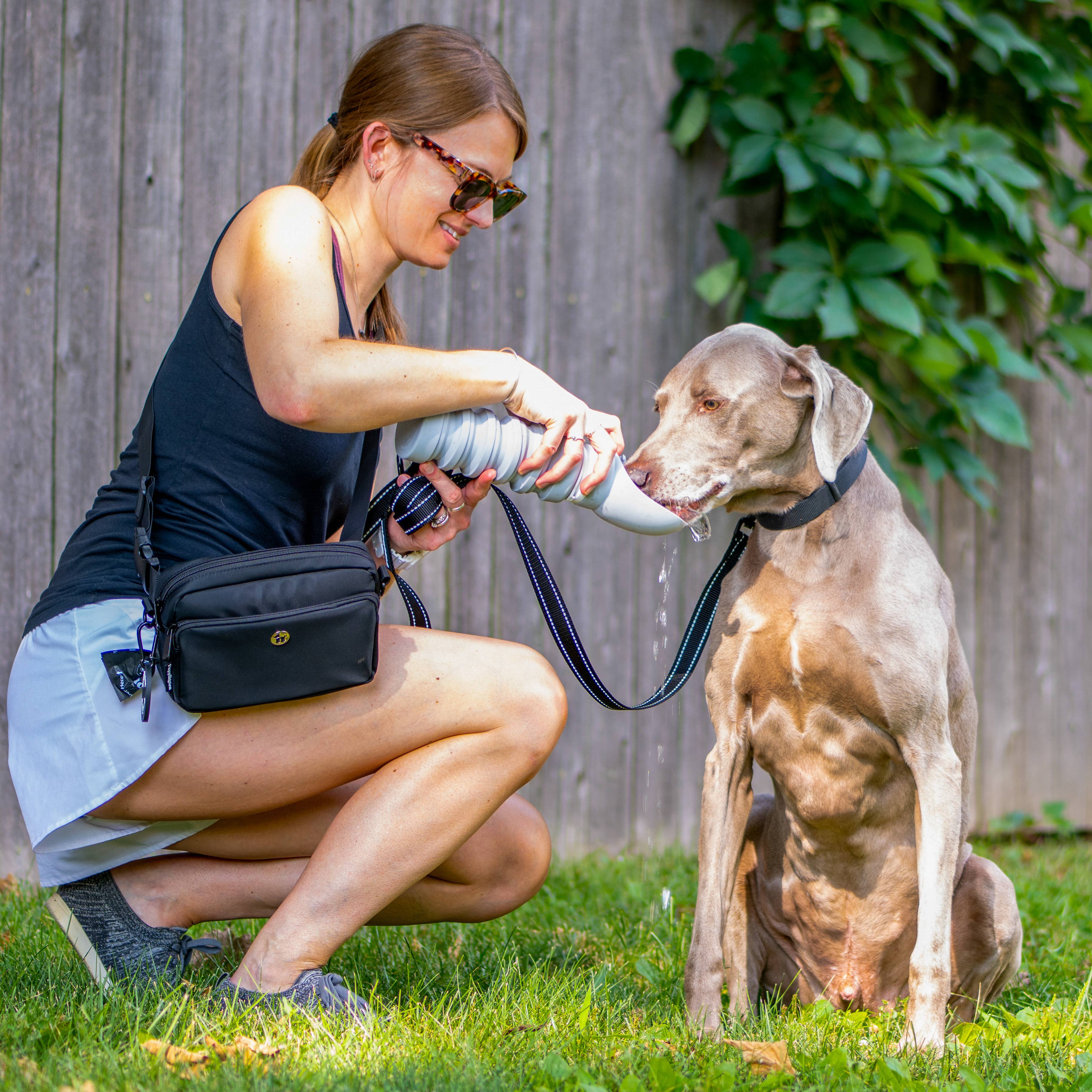 Puppington Collapsible Silicone Dog Water Bottle