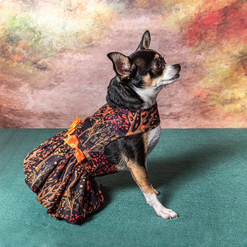 Fall Leaves Dog Harness Dress w/ Matching Leash