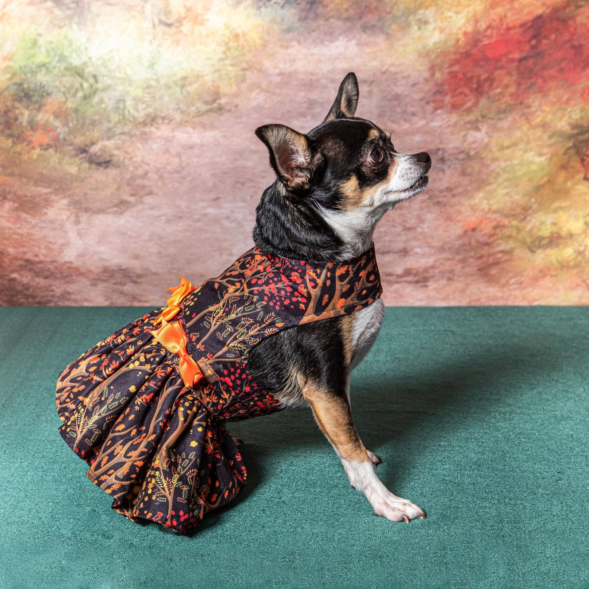 Fall Leaves Dog Harness Dress w/ Matching Leash