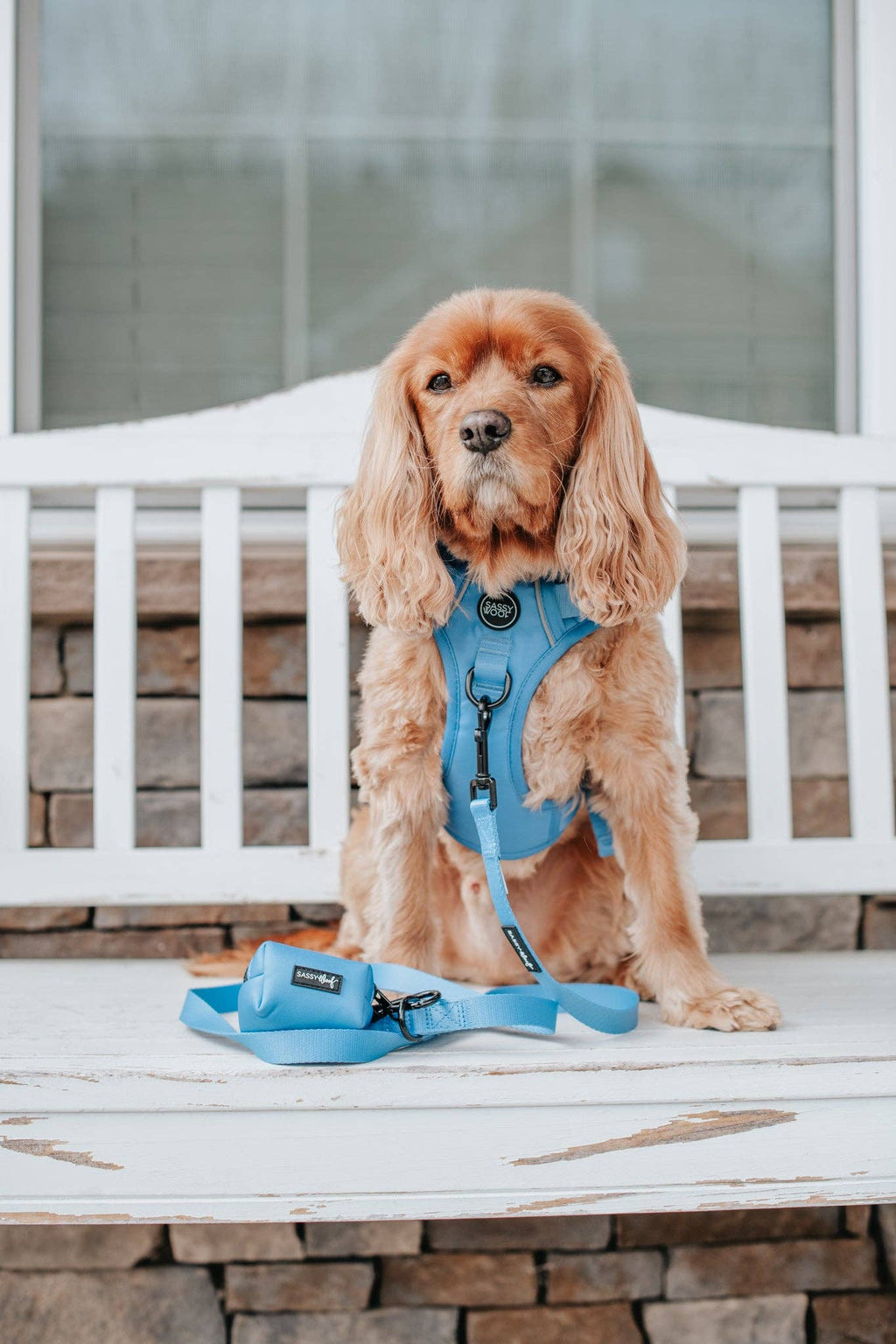 Dog Waste Bag Holder - Hydrangea