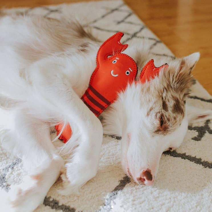 Lola the Lobster Neoprene Dog Toy (One Size)