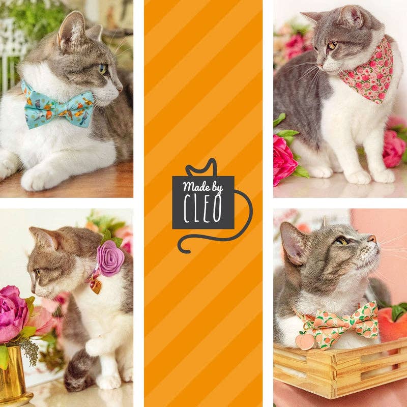 Celebration Cat Collar