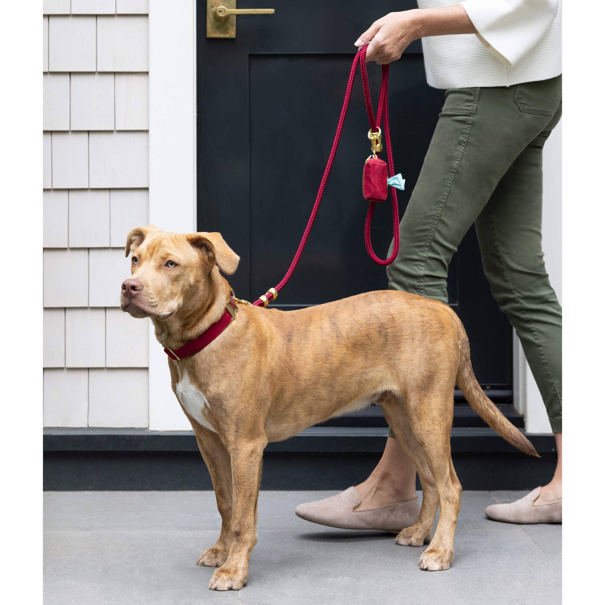 Wine Waxed Canvas Poop Bag Dispenser