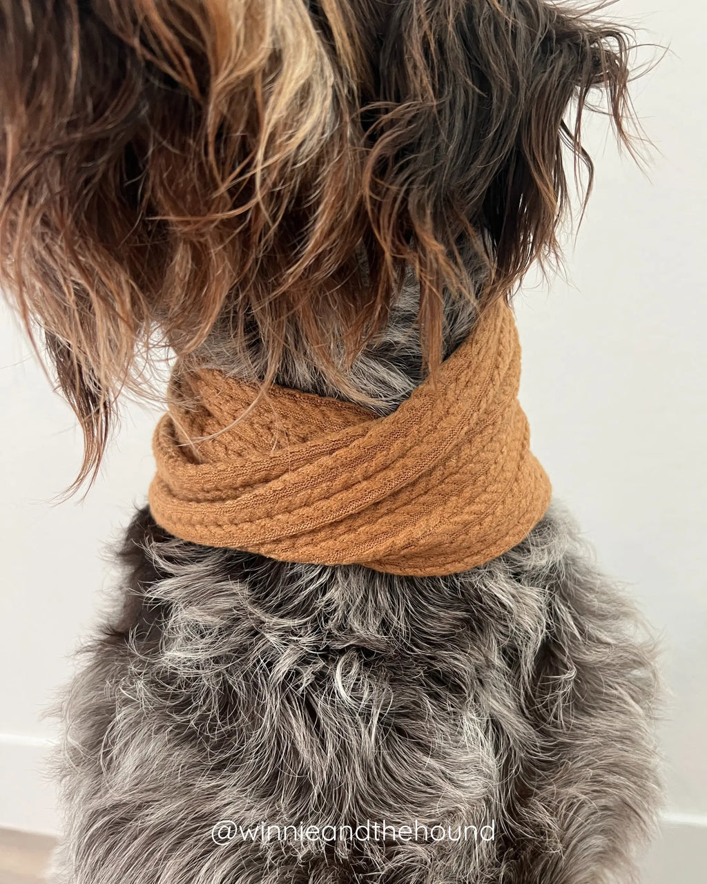 Camel Sweater Knit Infinity Scarf for Dogs | Fall
