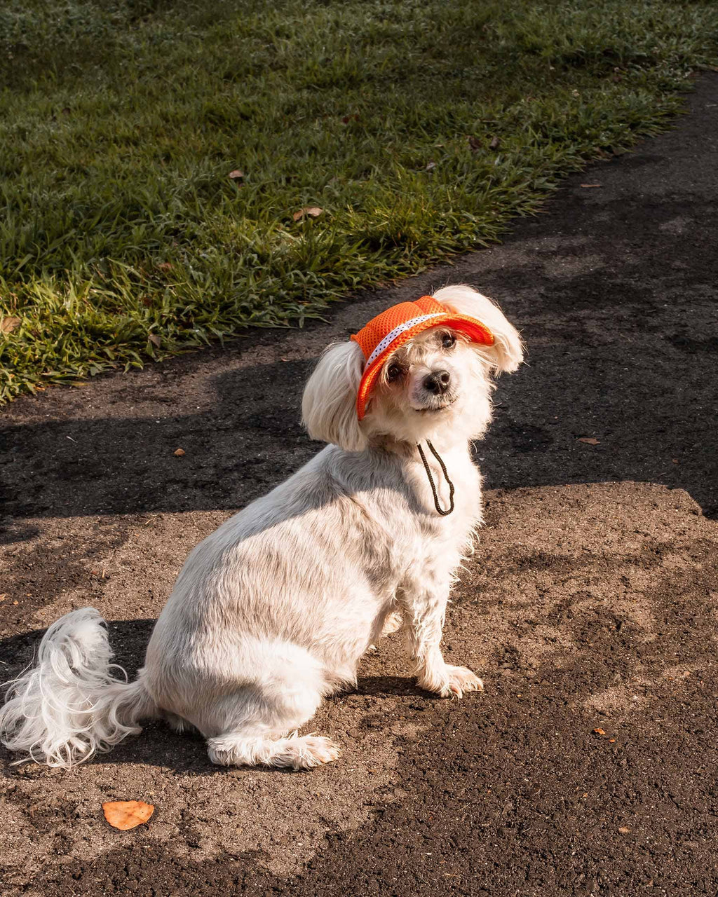 UV Protectant Adjustable Dog Hat Cap