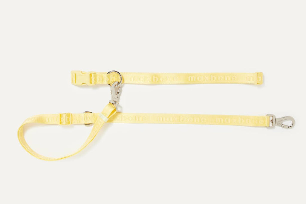 GO! With Ease Hands-Free Leash for Dogs