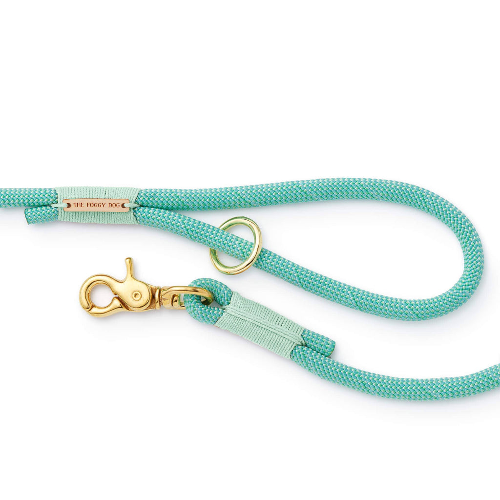 Spearmint Climbing Rope Dog Leash
