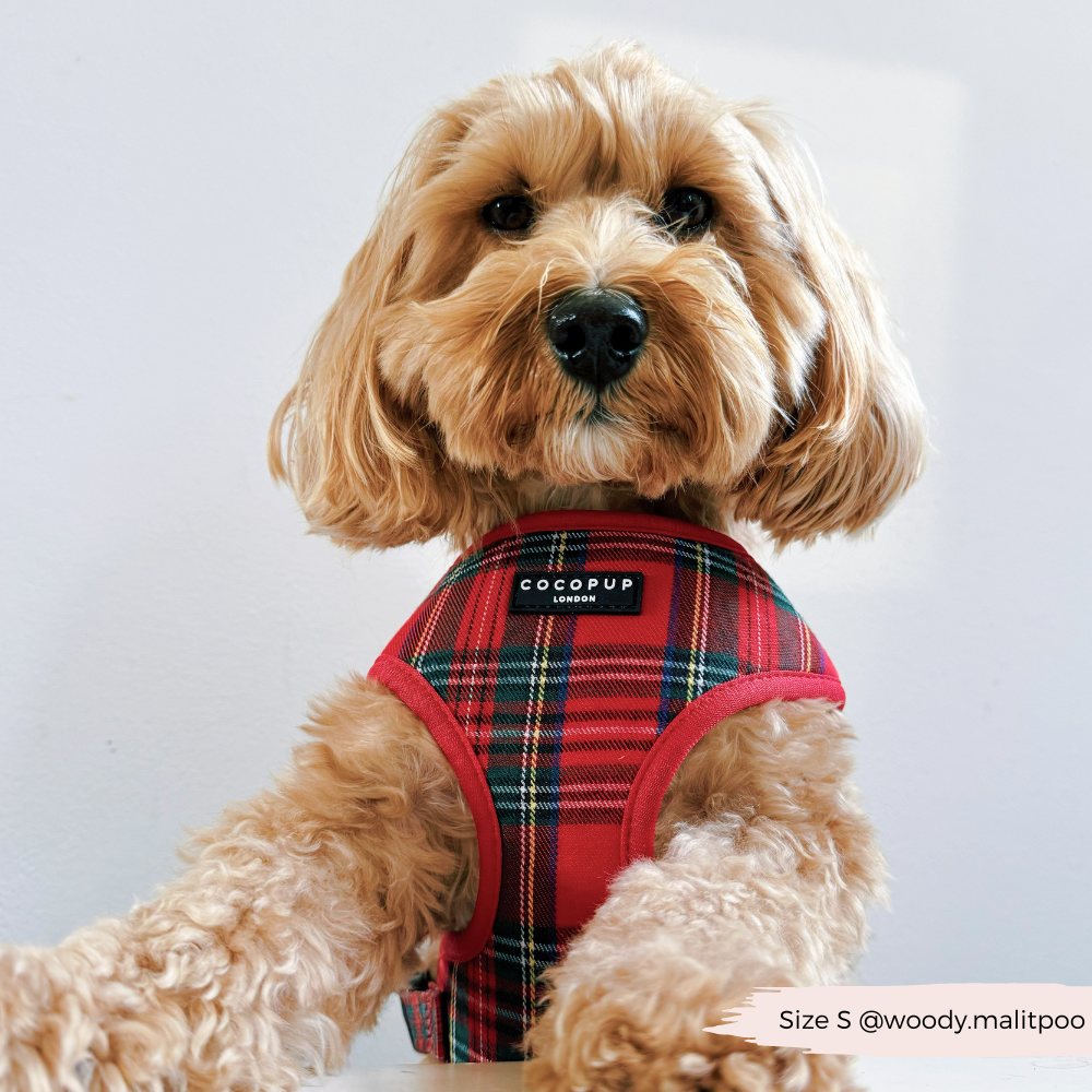 Tartan Adjustable Neck HARNESS