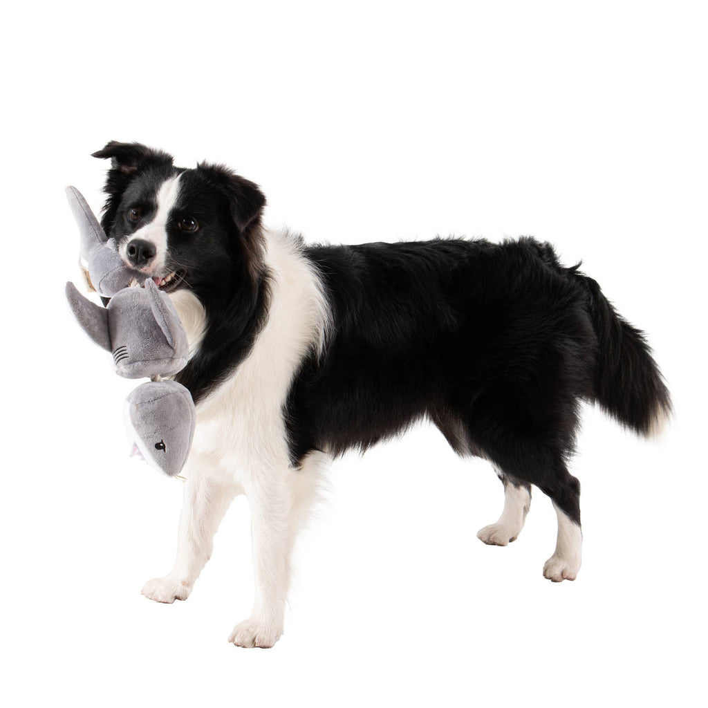 Tall Tails Shark Jointed Shake Play Dog Toy