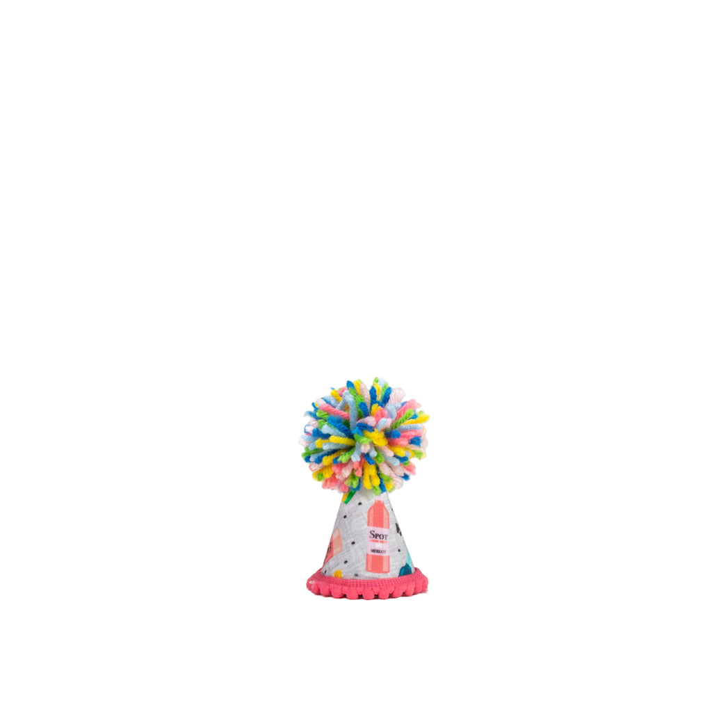 Mutt Mixer Party Hat