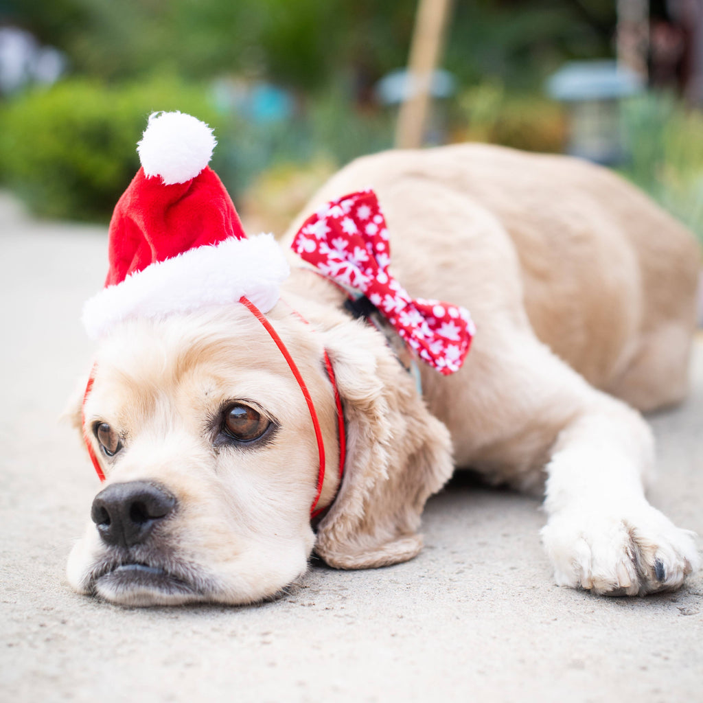 H&K Hat Santa with SnugFit®