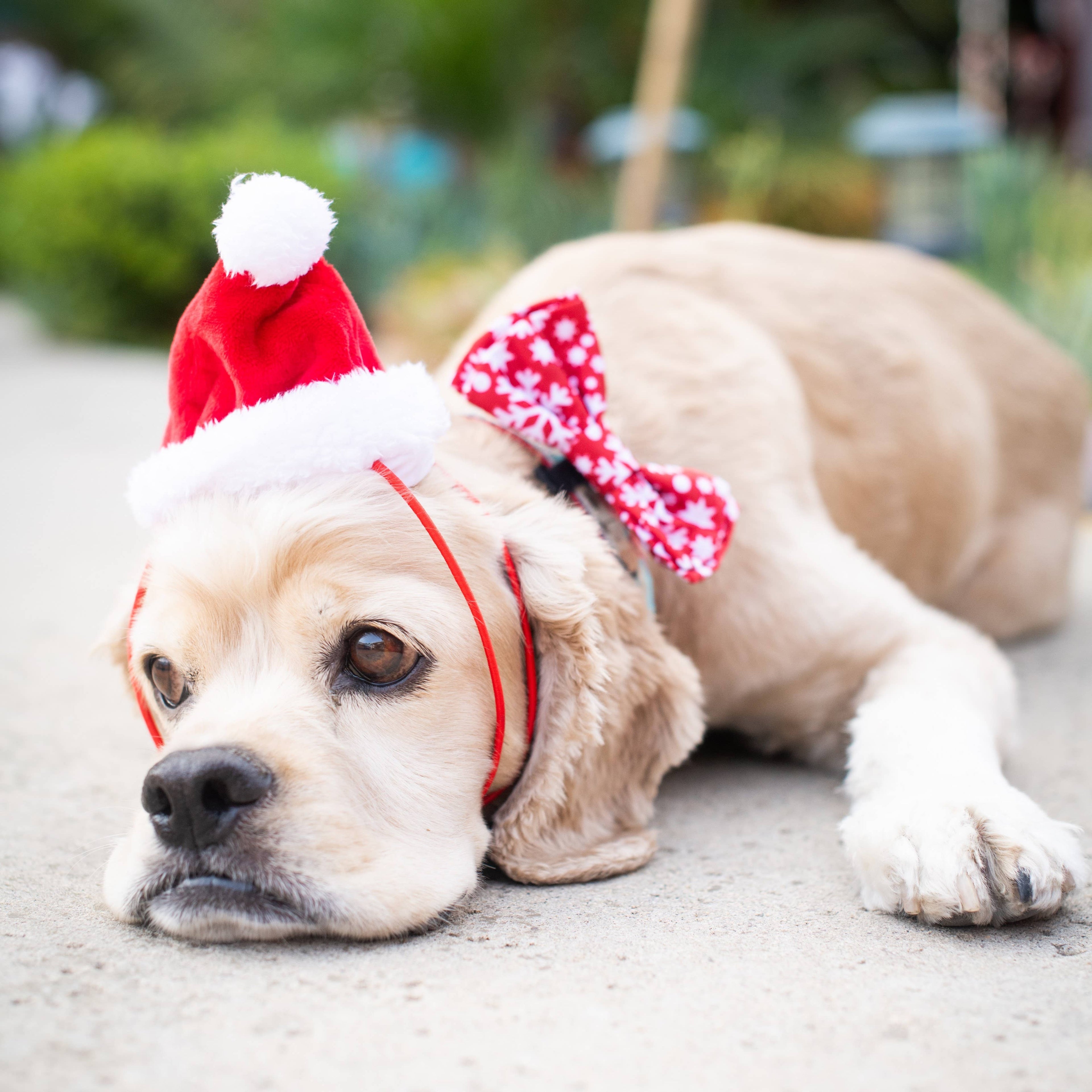 H&K Hat Santa with SnugFit®