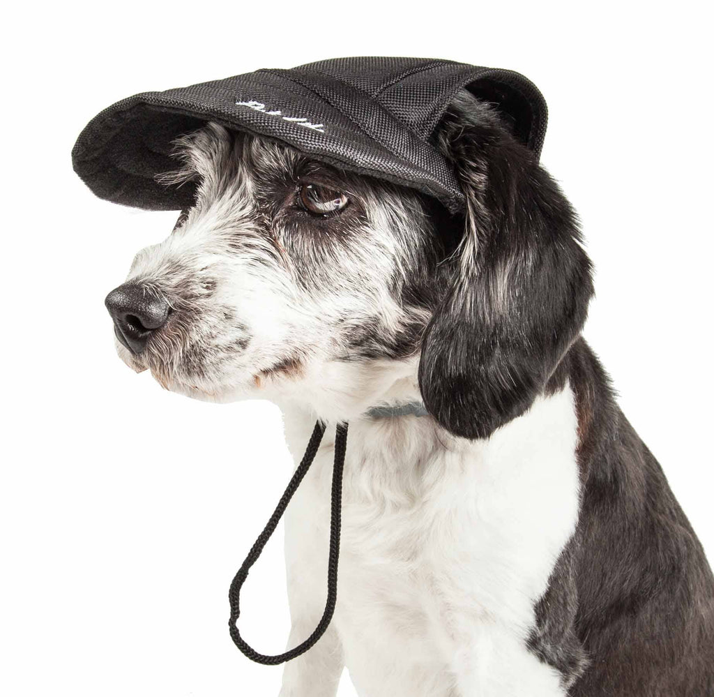 Black Dog Hat