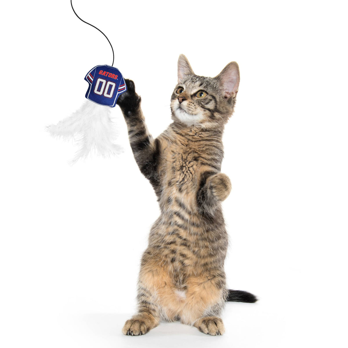 FLORIDA GATORS TEAM JERSEY WAND WITH CAT NIP