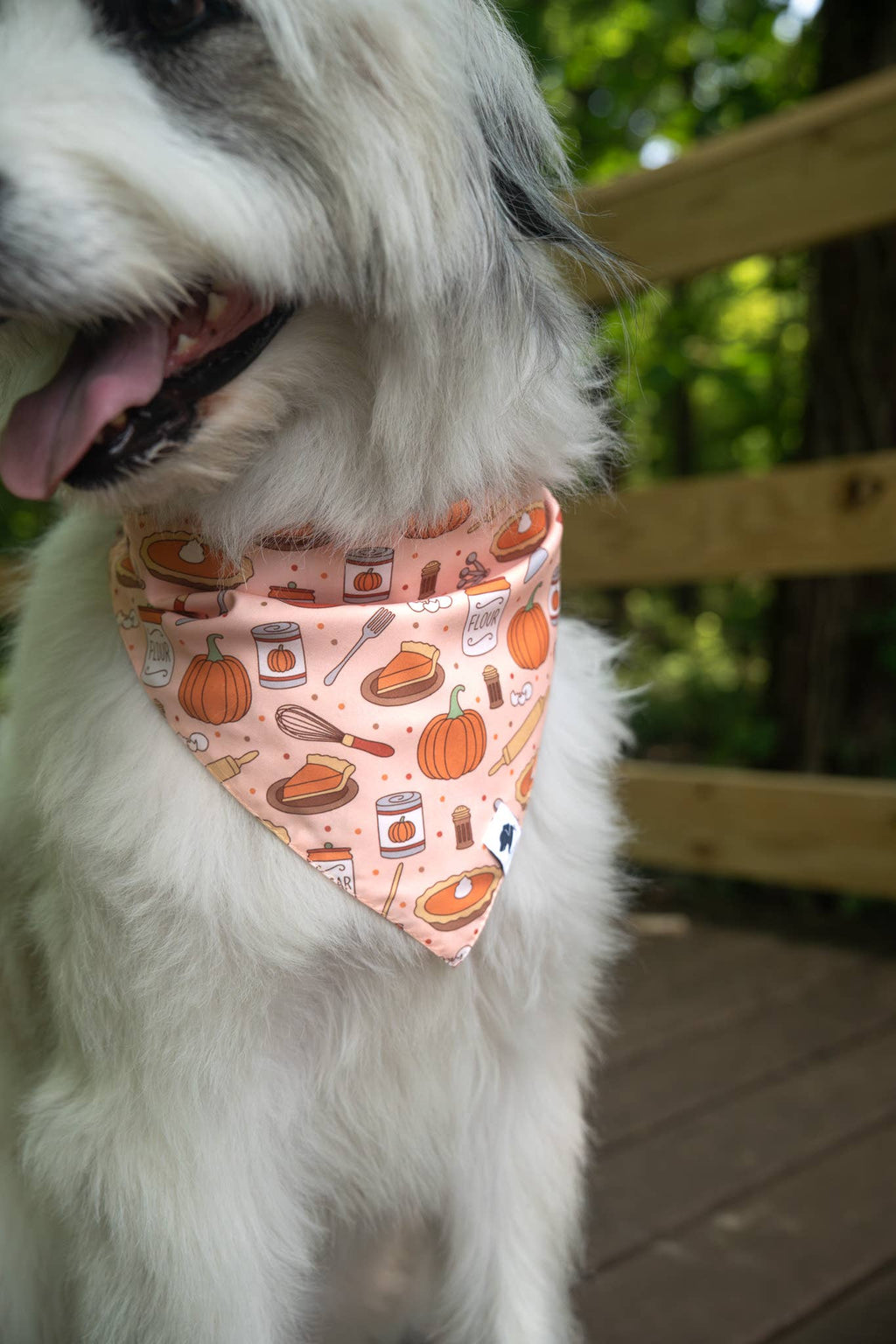 Thanksgiving Dog Bandana