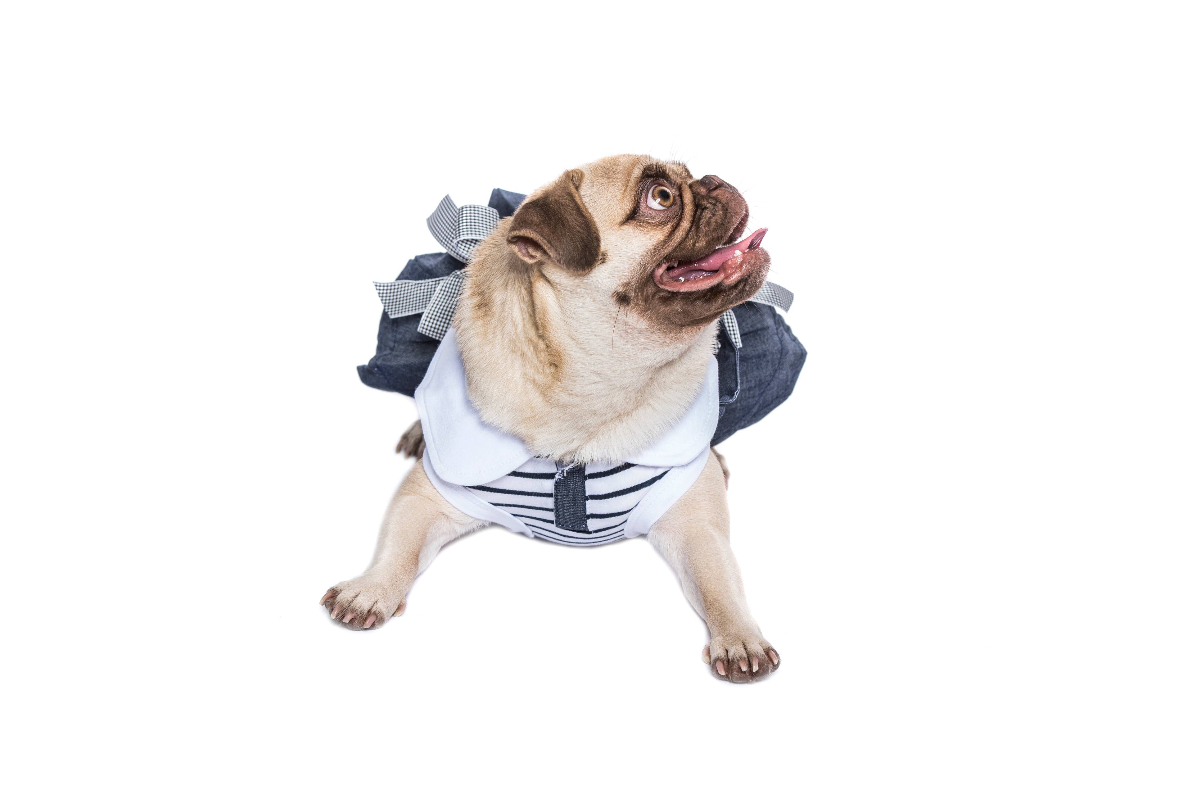 Preppy Girl Dress – Elegant Dog Dress with Plaid Design