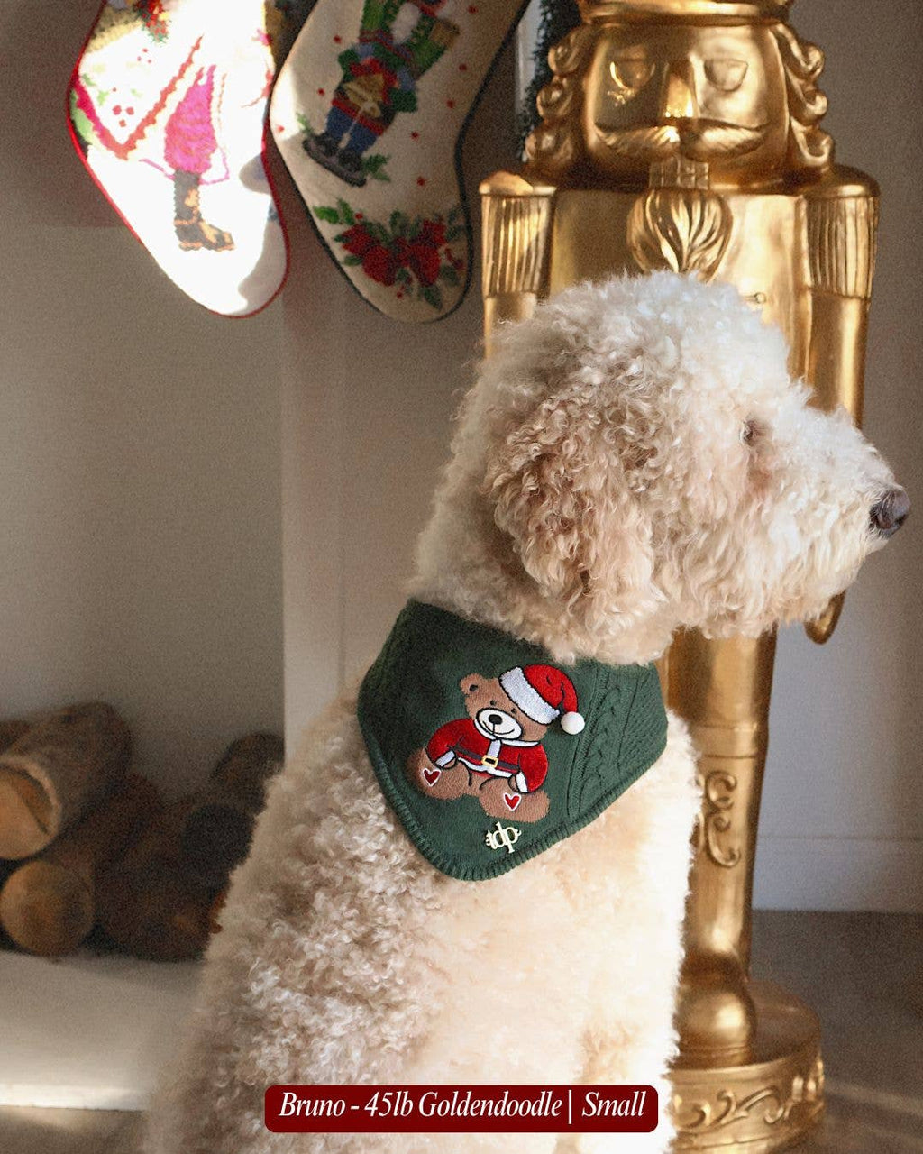 BANDANA | HOLIDAY TEDDY