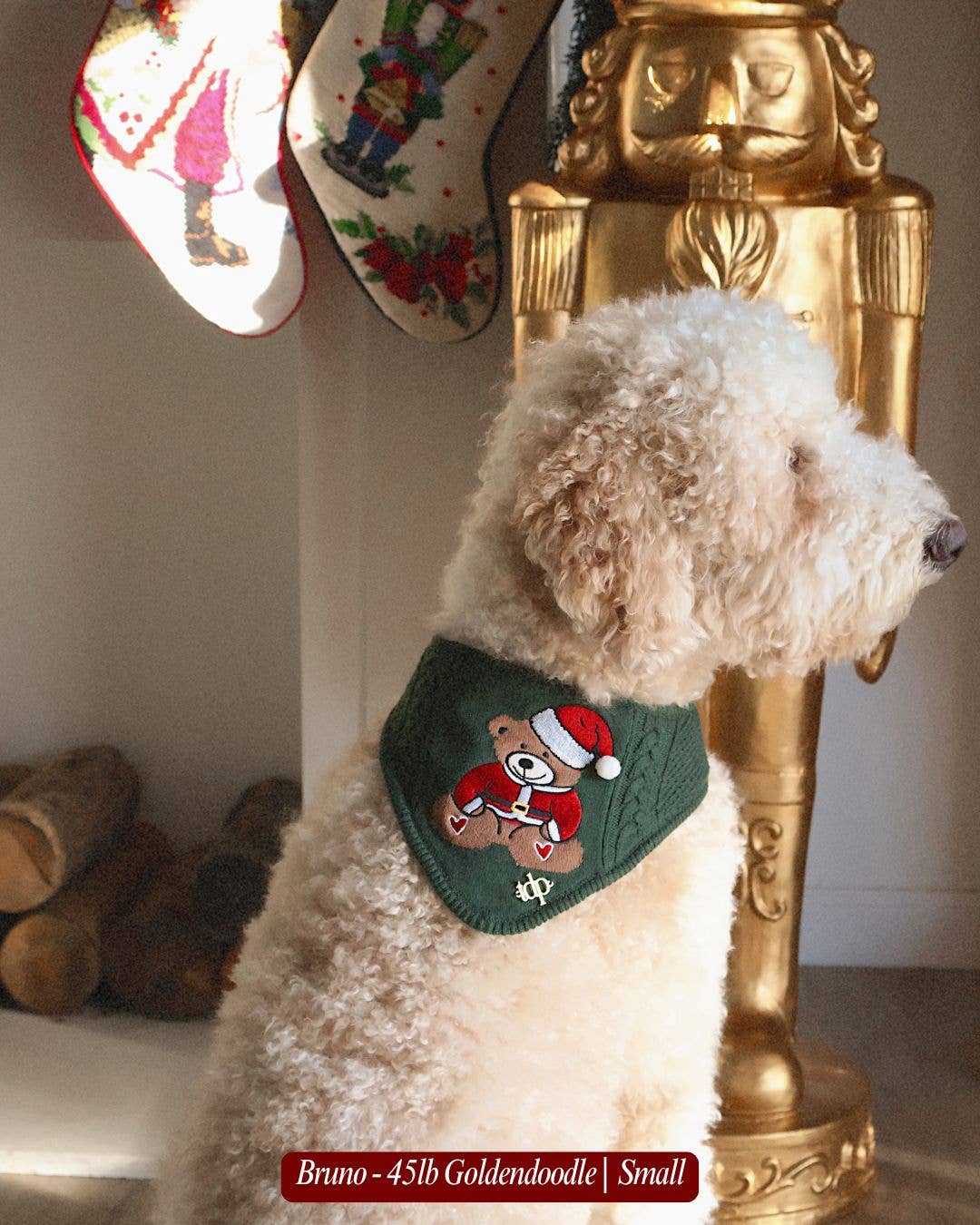 BANDANA | HOLIDAY TEDDY
