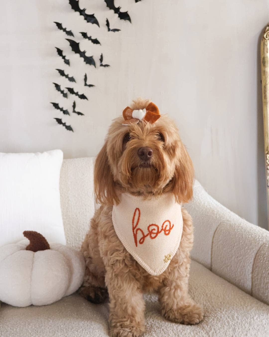 FALL DOG BANDANA | CASPER