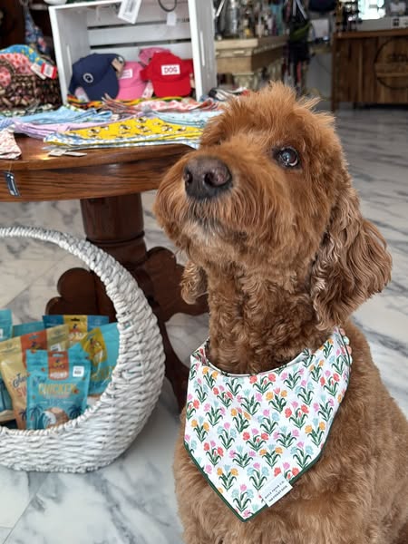 Rifle Paper Co. x TFD Tulips Spring Dog Bandana