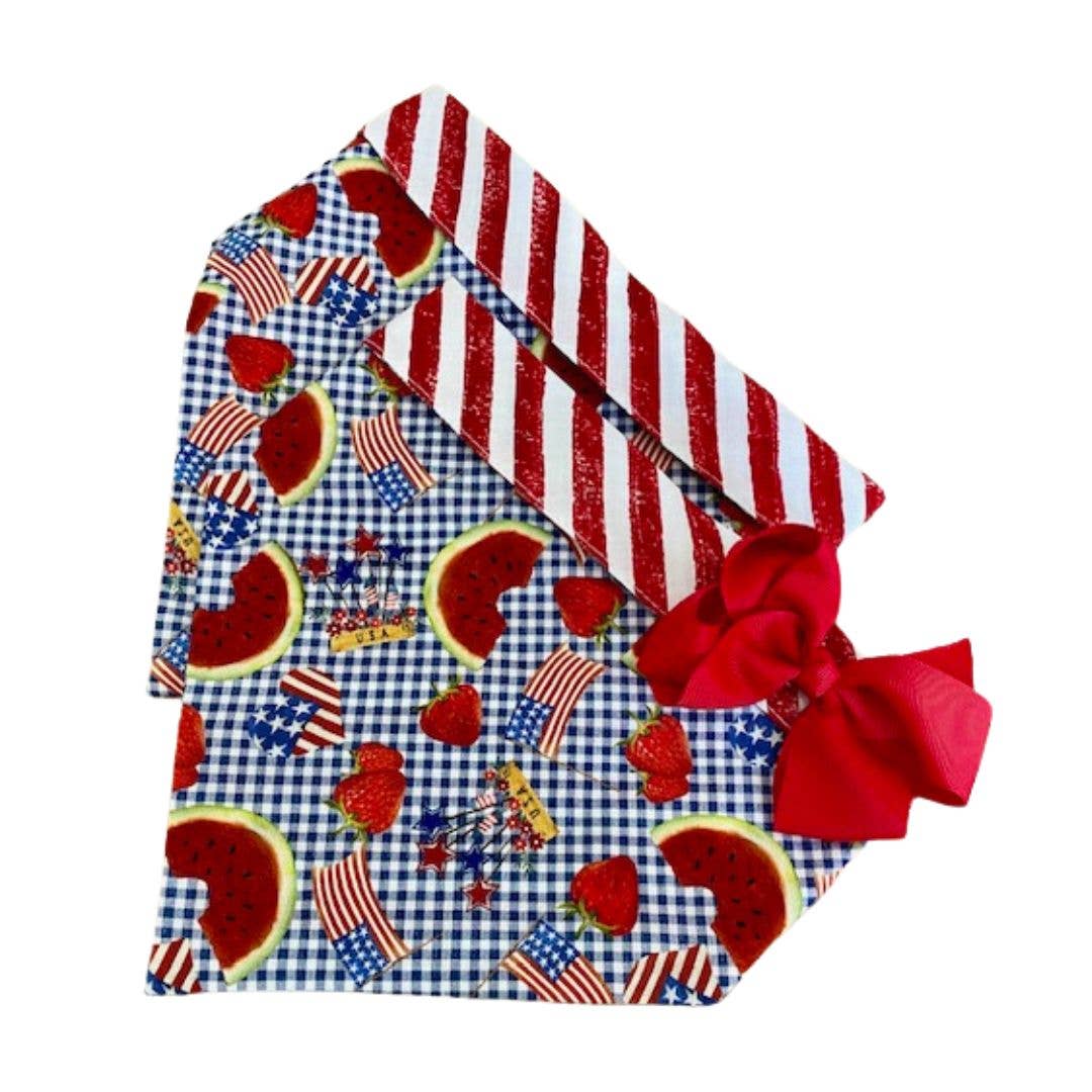 Patriotic Picnic