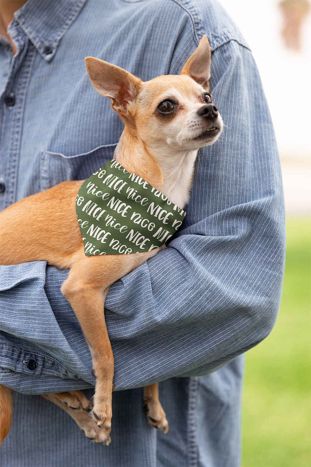 Naughty Or Nice Tie On Dog Bandana