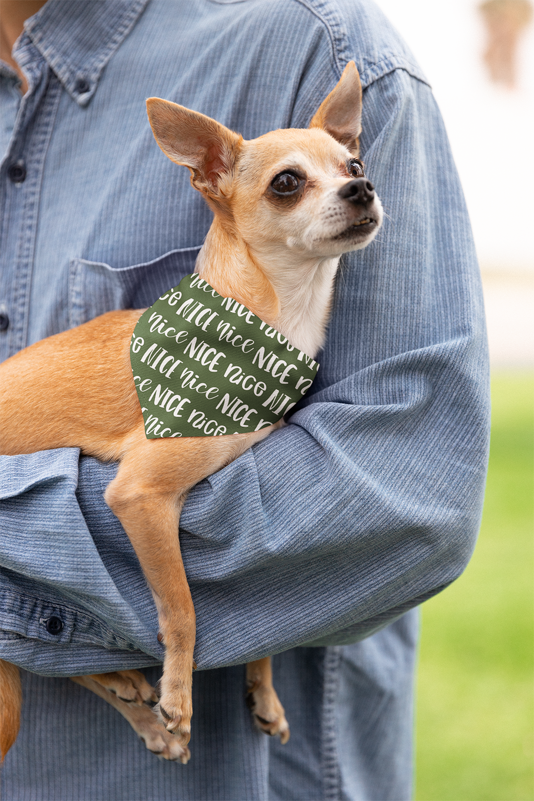 Naughty Or Nice Tie On Dog Bandana