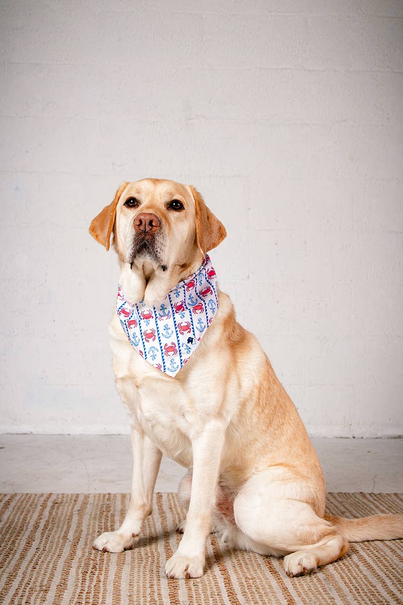 Coastal Charm Dog Bandana