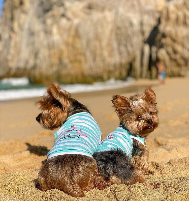 Flamingos Dog T-Shirt – Adorable Tropical Pet Shirt