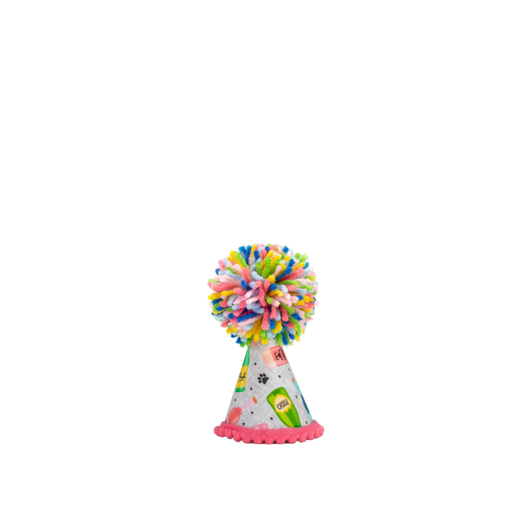 Mutt Mixer Party Hat