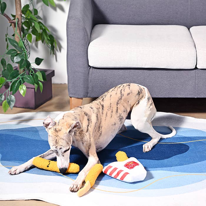 HugSmart Pet - Food Party | Mozzarella Sticks