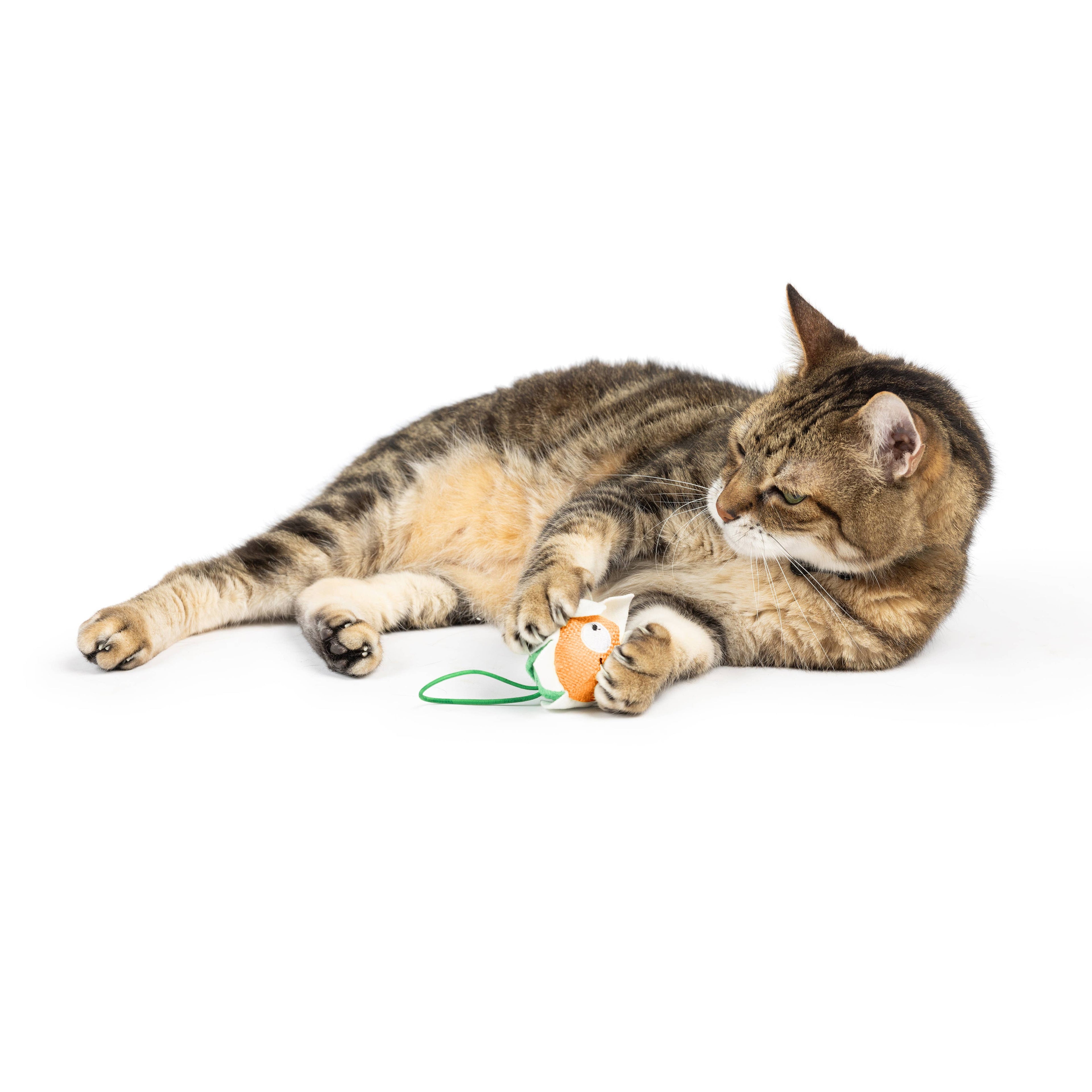 Flower Flinger Cat Toy
