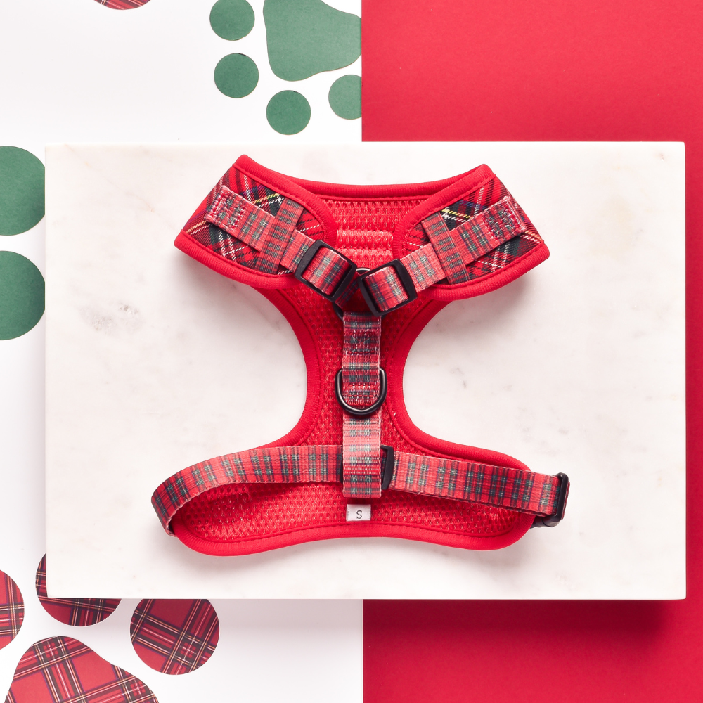 Tartan Adjustable Neck HARNESS
