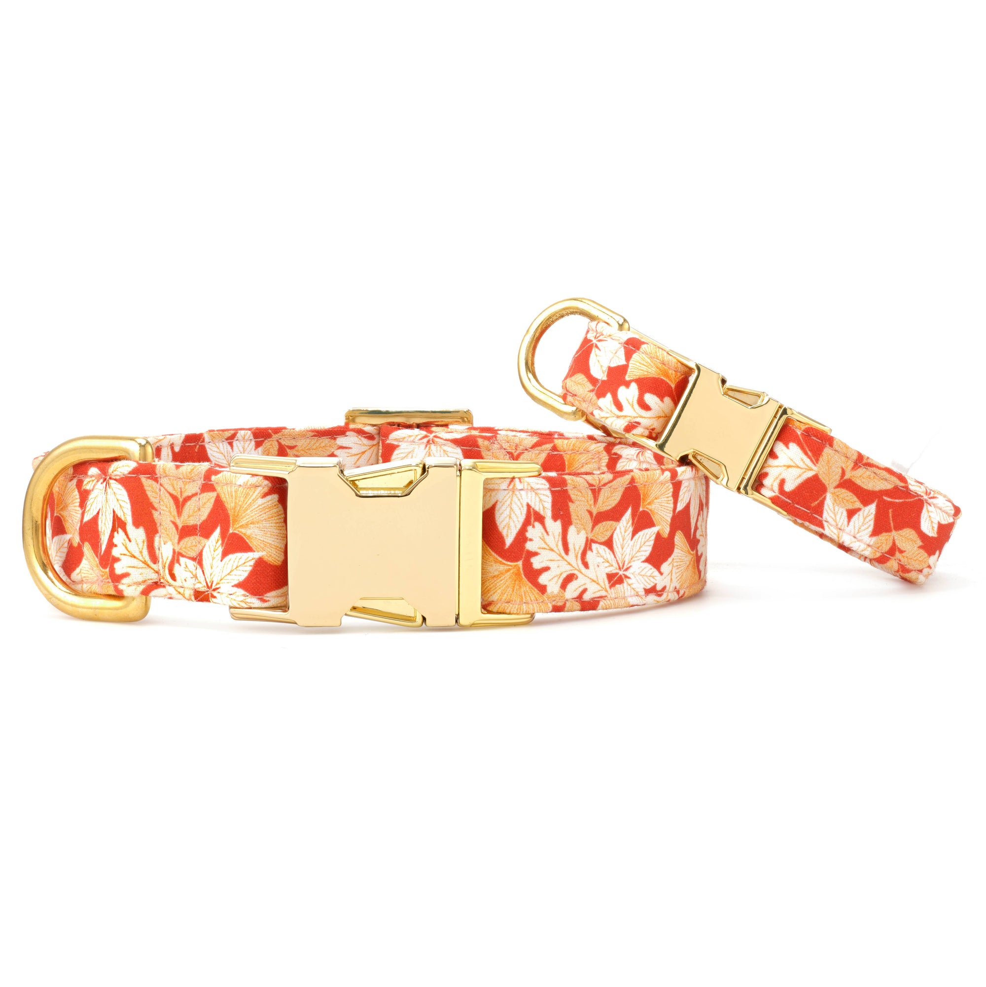 Autumn Leaves Rust Fall Dog Collar