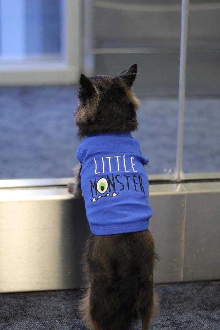 Little Monster Dog T-Shirt – Playful & Stylish Pet Shirt