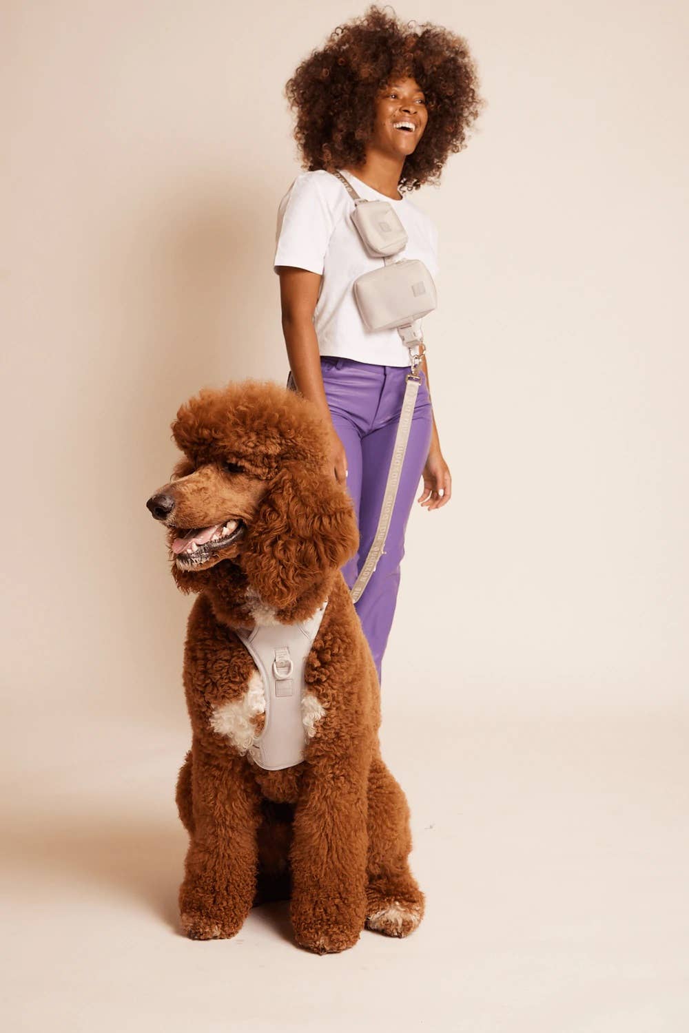 GO! With Ease Hands-Free Leash for Dogs